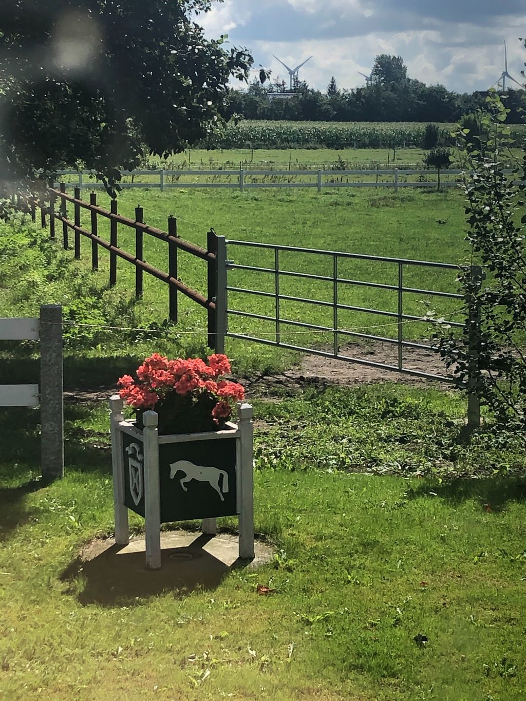 Horse farm in the north of North Friesland