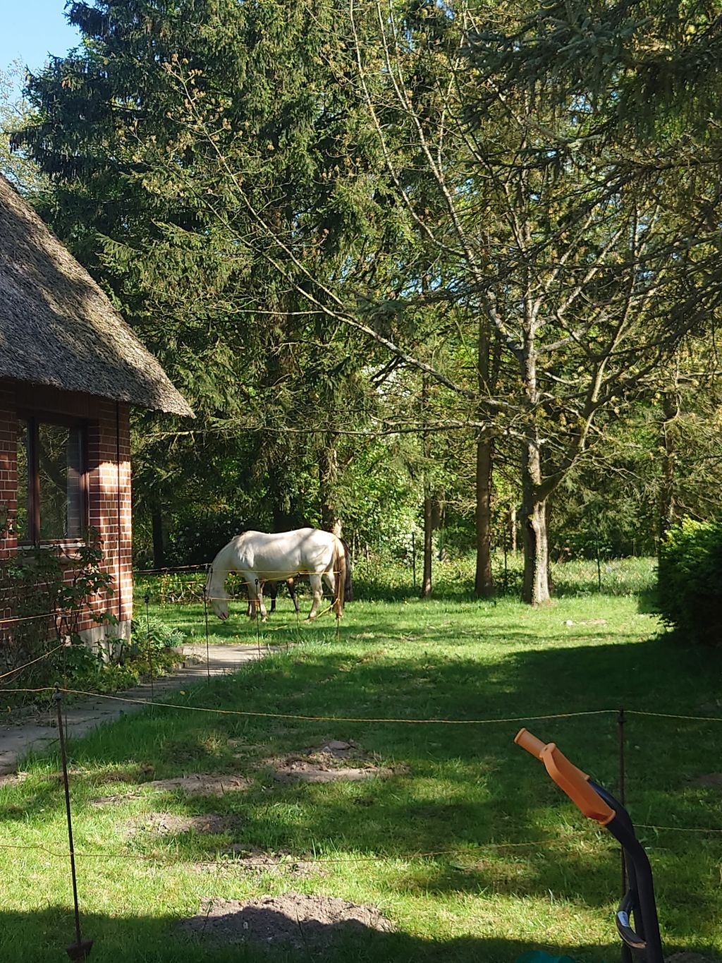 Vacaciones en la Suiza de Holstein en un lugar aislado