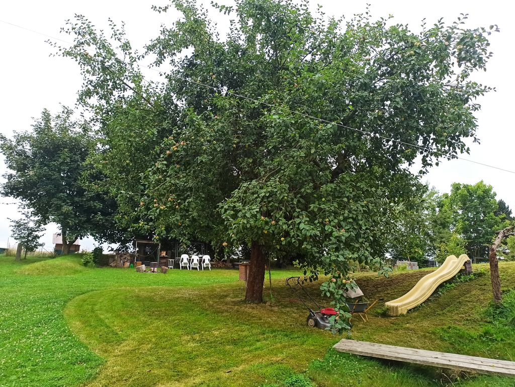 Vacaciones en el campo bajo el manzano