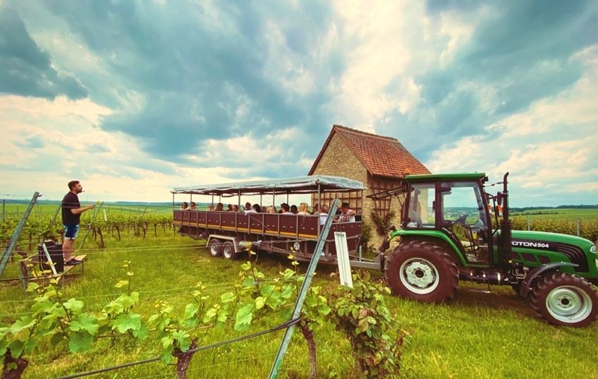 Einzigartig campen im fränkischen Weinland