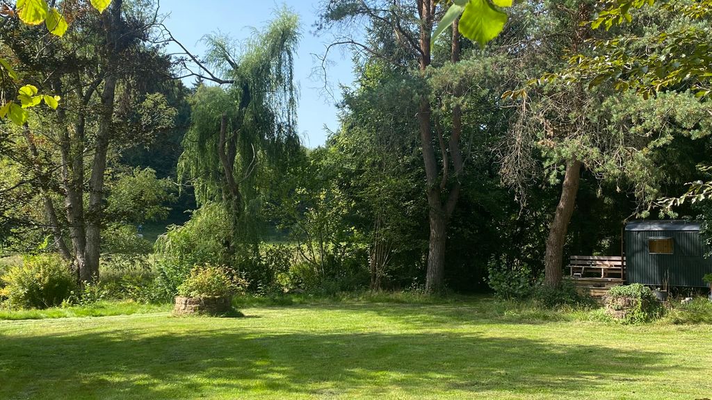 Terreno con aspecto de parque, con sauna y jacuzzi