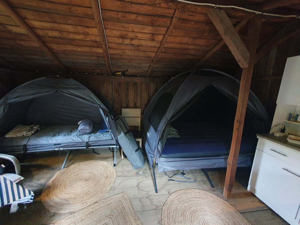Spend the night in the wooden hut right on the edge of the forest