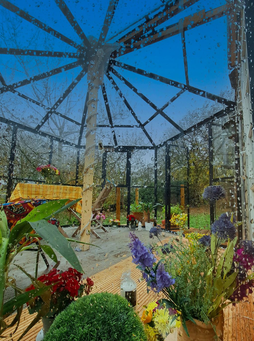 Tiny Haus Sternenblick - Sauna - selvaggia e bollente