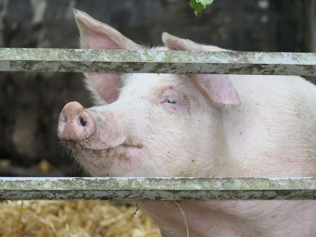 Vacances à la ferme au bord du Sauerland