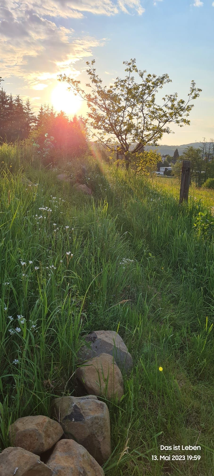 Tenda Camping Schlüchtern Main Kinzig Rhön Spessart