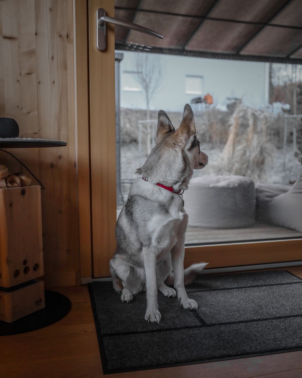 CabinWesterwald | sauna, 5G, e-charging station, forest edge