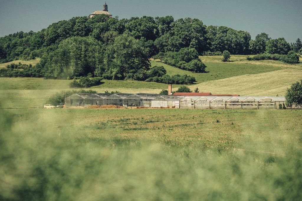 Prato del vivaio con vista idilliaca