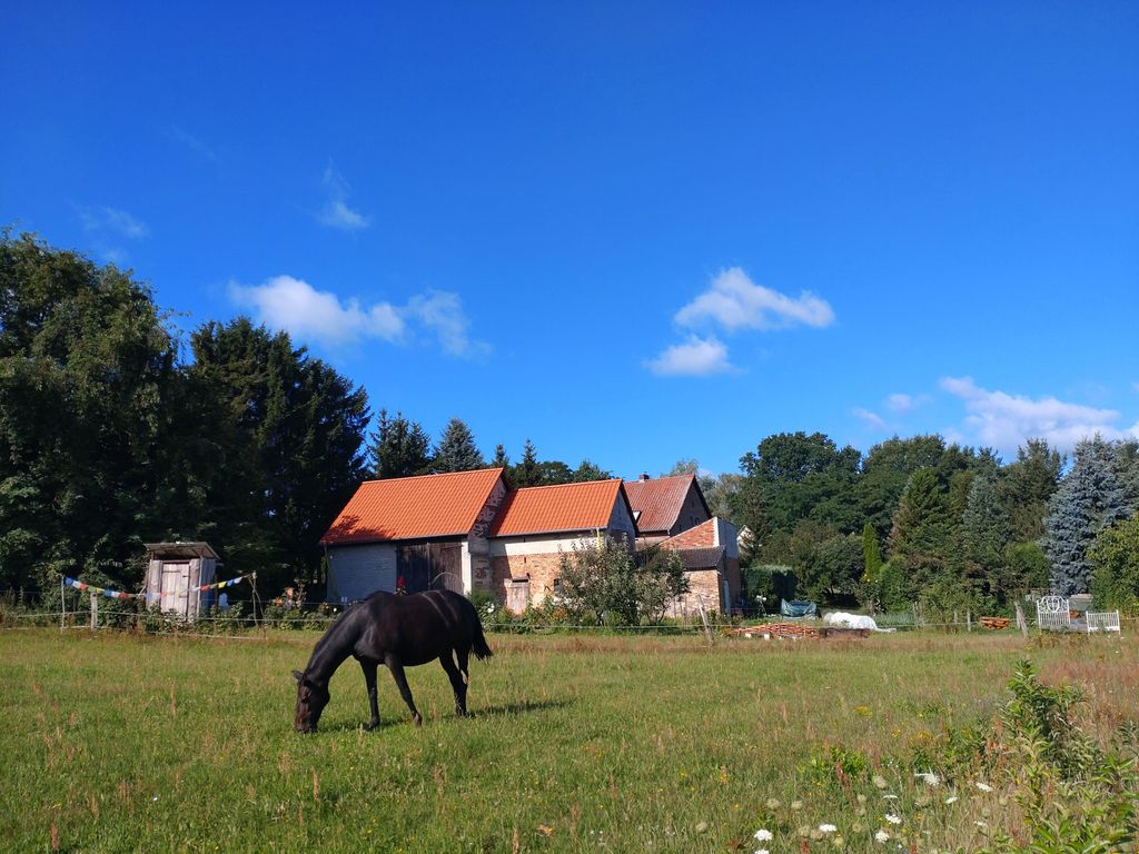 Un petit coin tranquille avec vue sur l'horizon