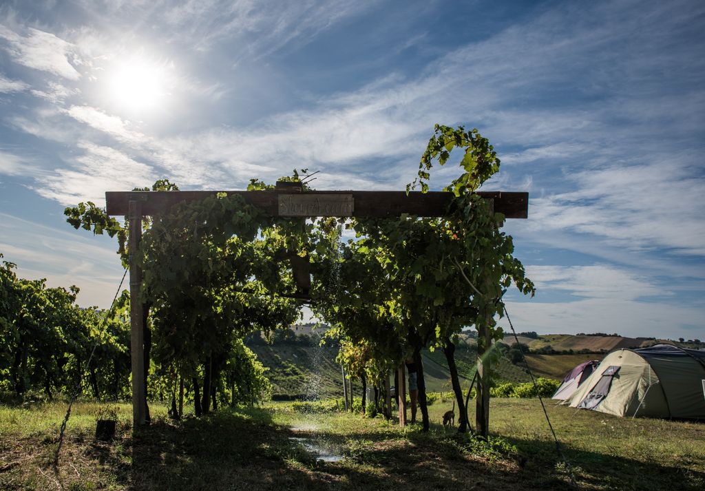 Piazzole nel vigneto