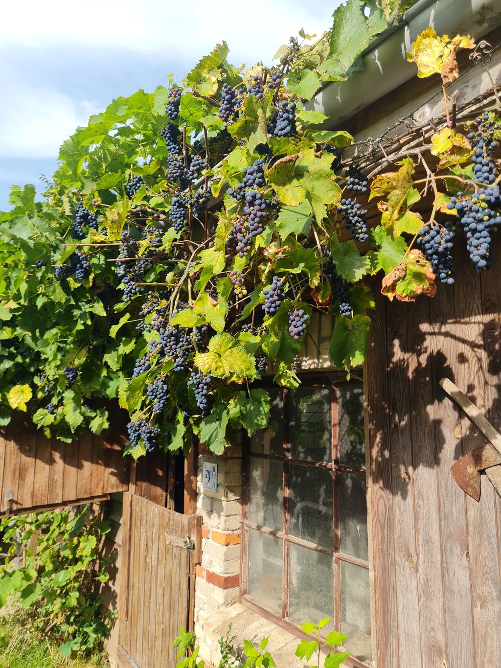 Suitable place for travelers or campers