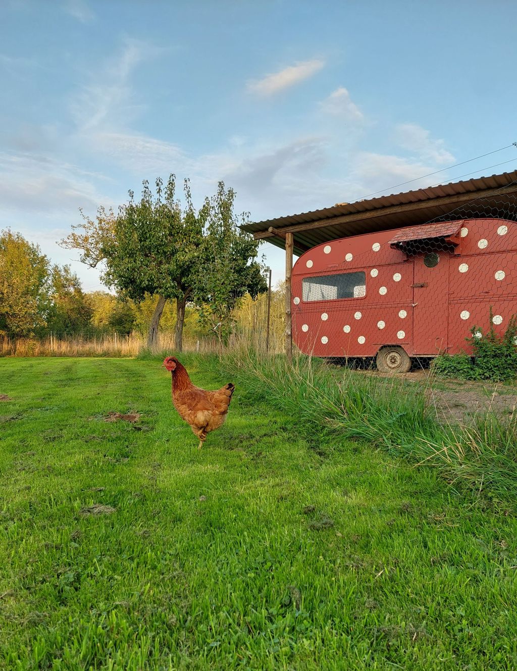 Unwind in the orchard meadow