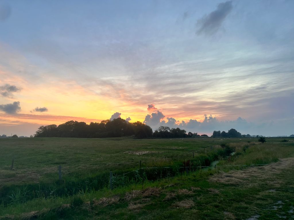 L'idillio della fattoria a Tetenbüll: un prato con vista panoramica