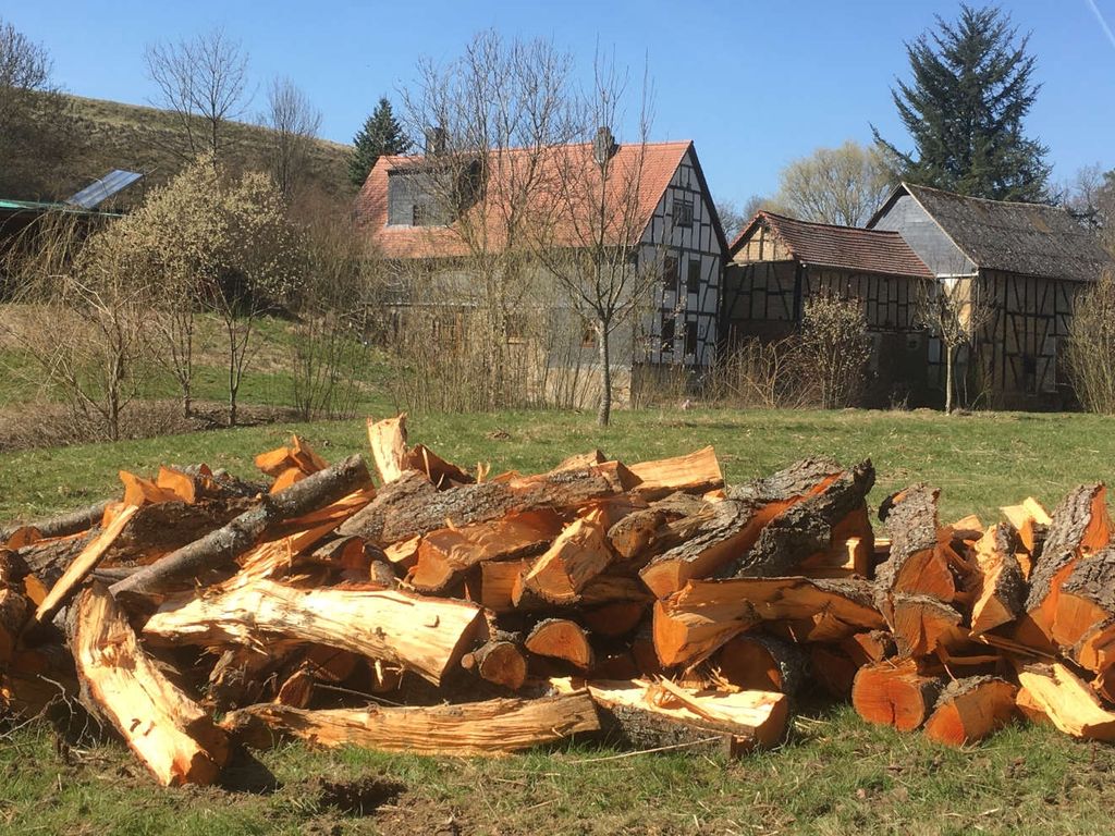 Large meadow between forest and mill in the Taunus