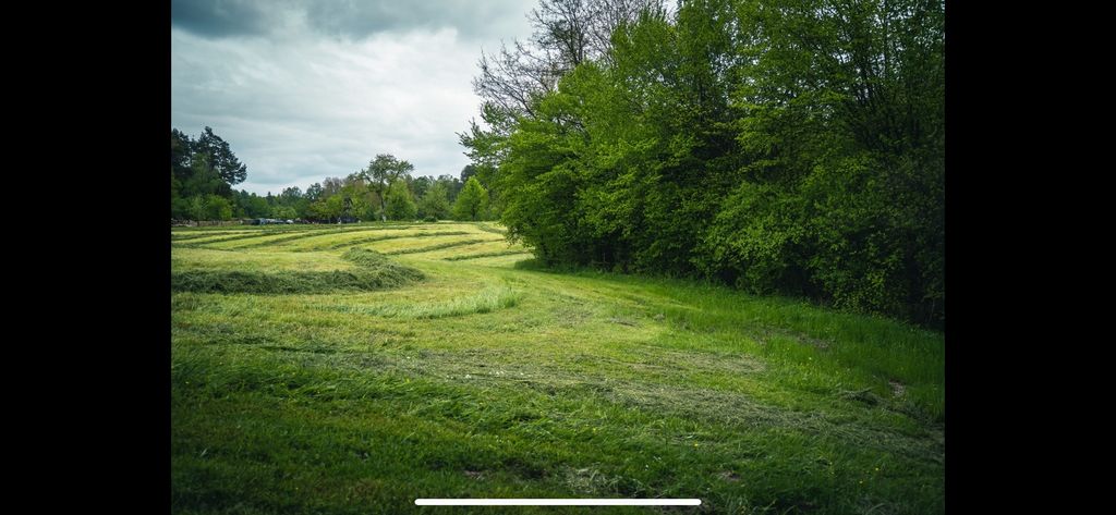 Luogo romantico ai margini del bosco con laghetto