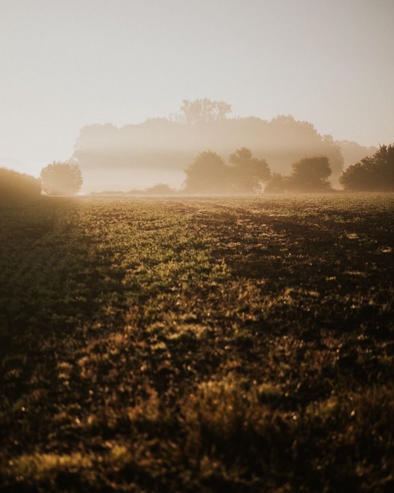 Wild camping in Münsterland (single pitch)