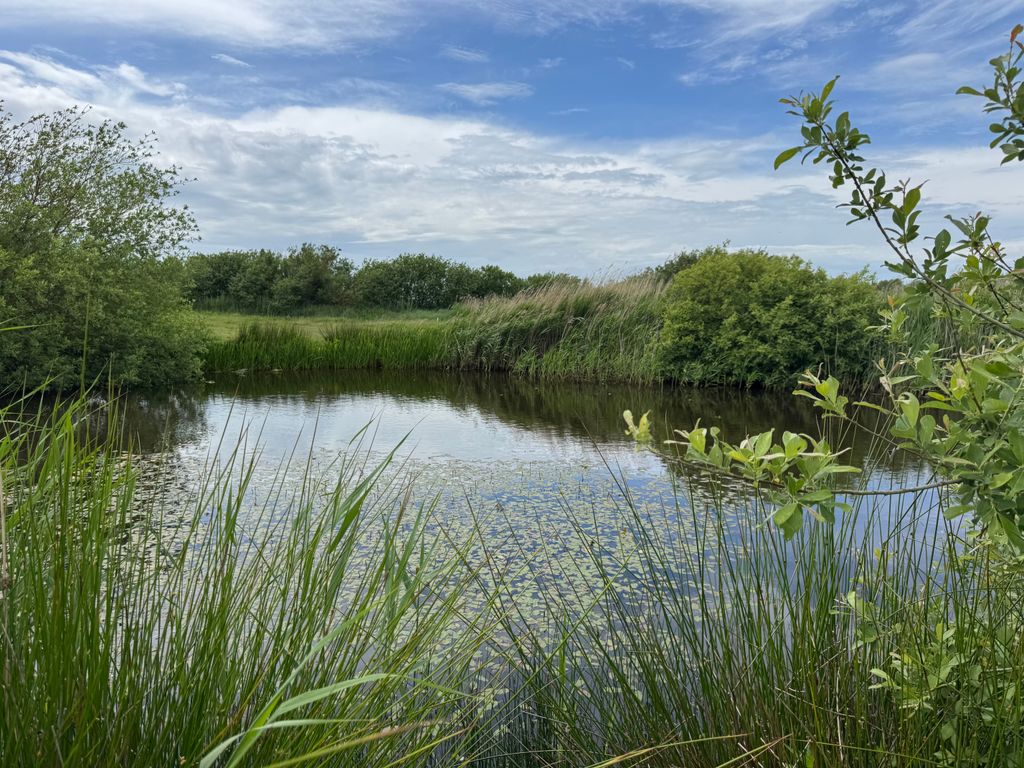 Marschland-Weitblick vor Sankt Peter-Ording
