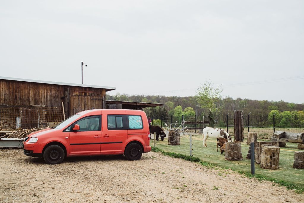Camping at the donkey enclosure at Erlebnishof Odenwald
