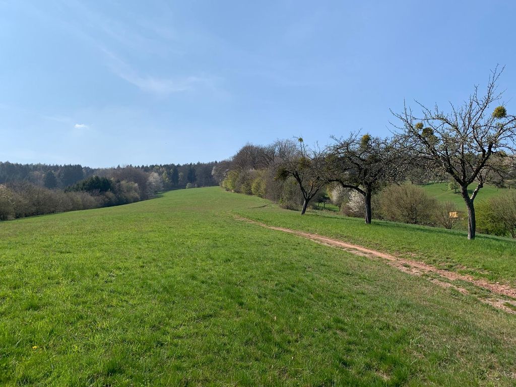 Panoramablick auf den Spessart