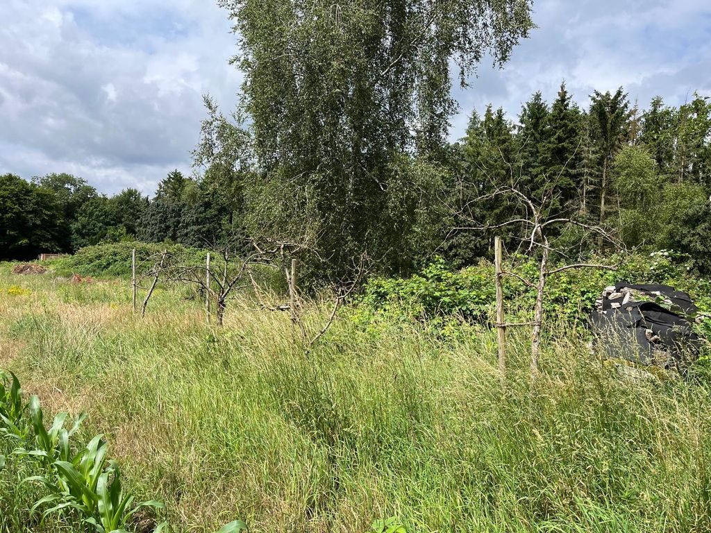 Vue dégagée sur les marais : champs, ciel, silence