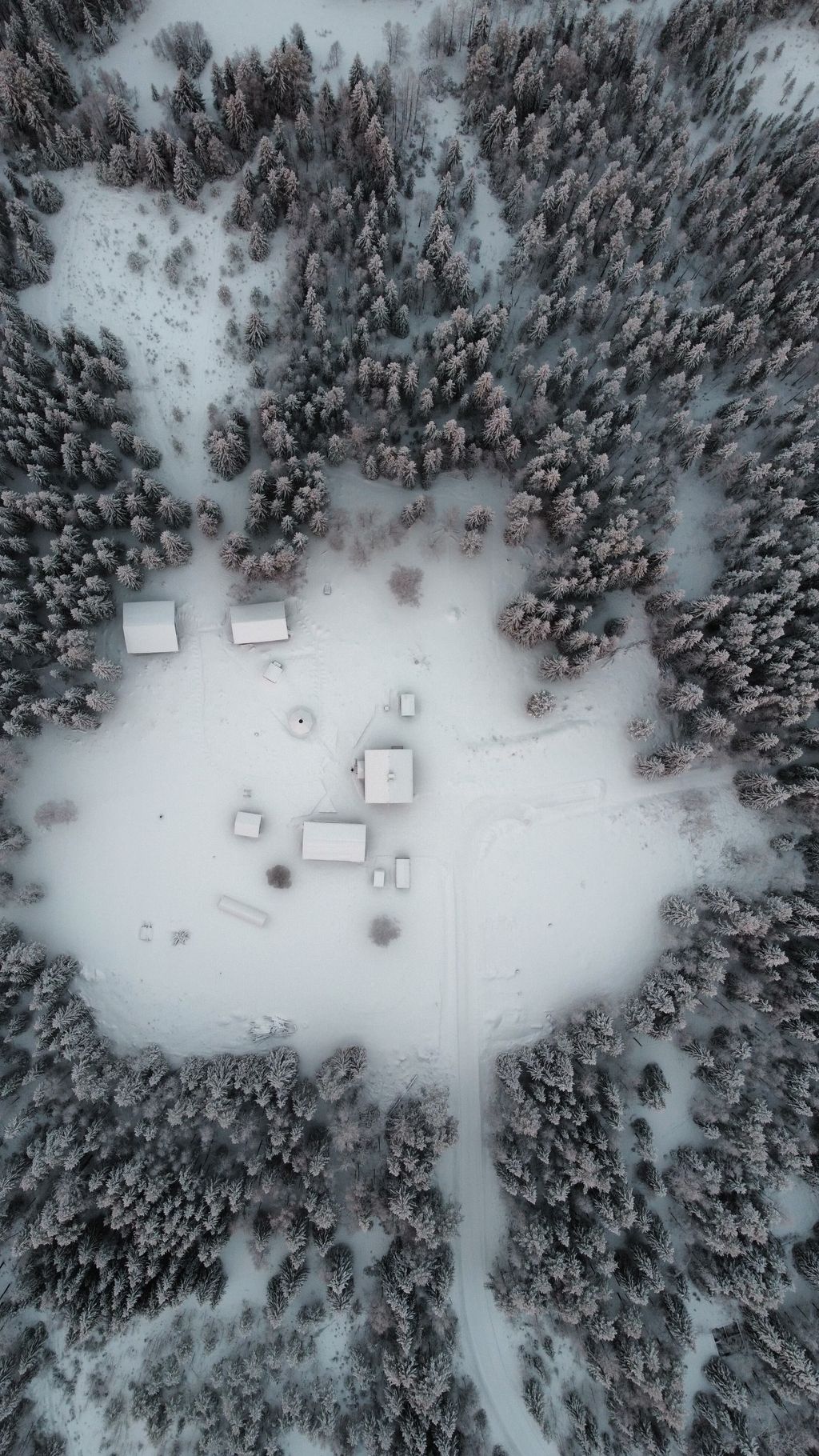 Absolute Outdoor Abenteuer - Kabine in Lappland