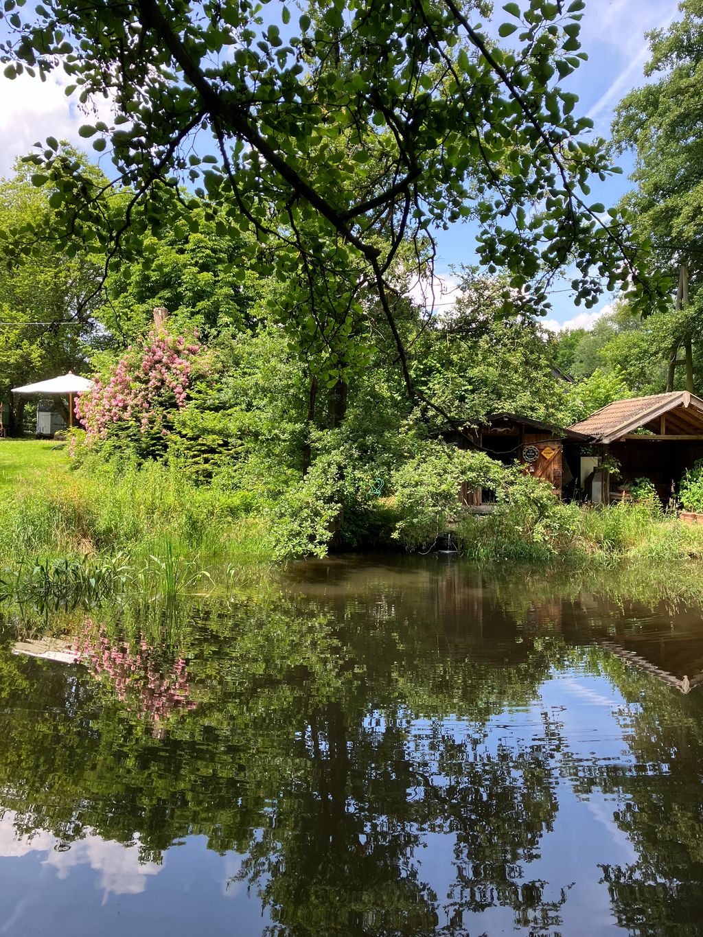Parcela junto a pasto para caballos y estanque natural
