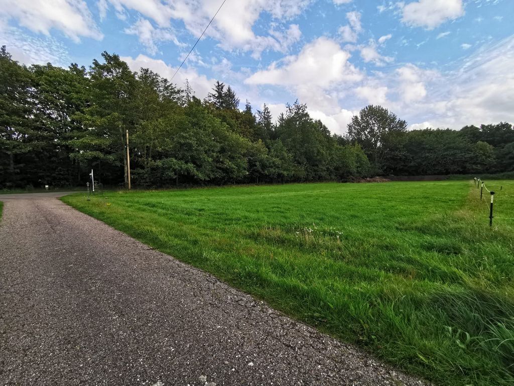 Quiet place in the field on the Danish border