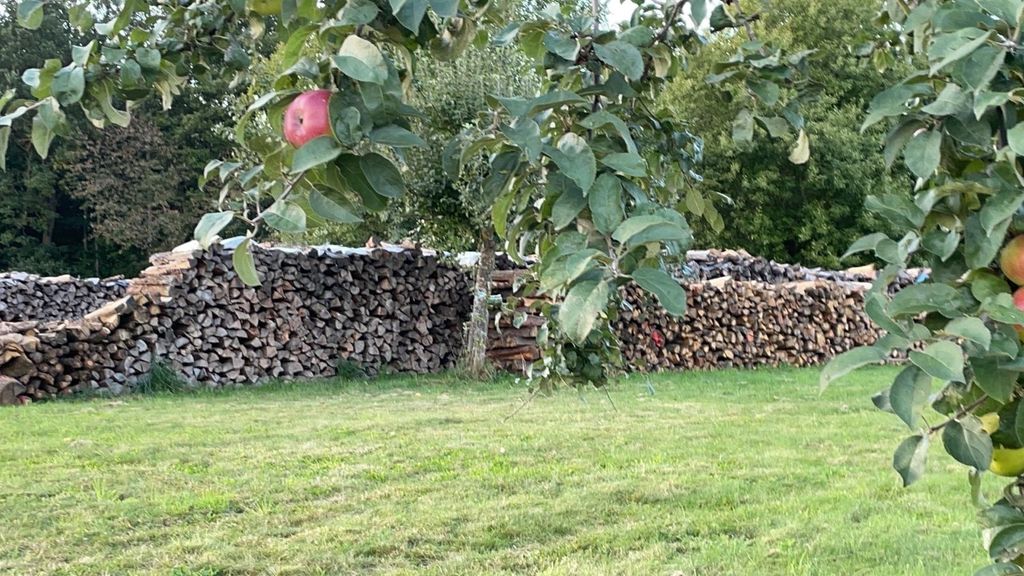 Un bel posto nel prato del nostro frutteto