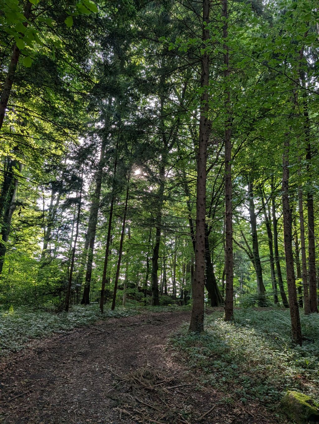 Grüne Auszeit fûr Dich und Deinen Camper!