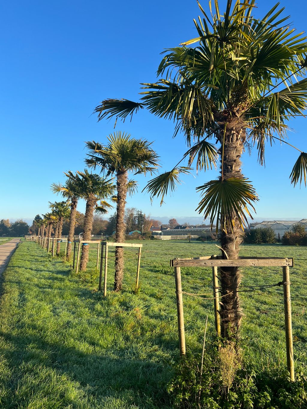 Mediterranean nature experience on the Lower Rhine