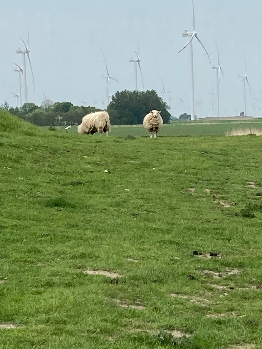 Lütte Pause - bei Husum am Nordseeküstenradweg