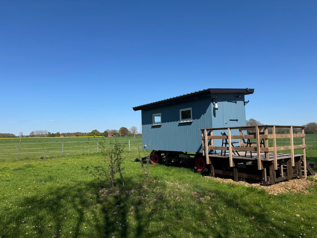 Coche azul en el campo