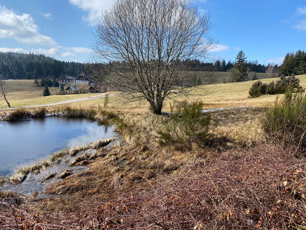 Enjoy the Black Forest farm - camping on a farm