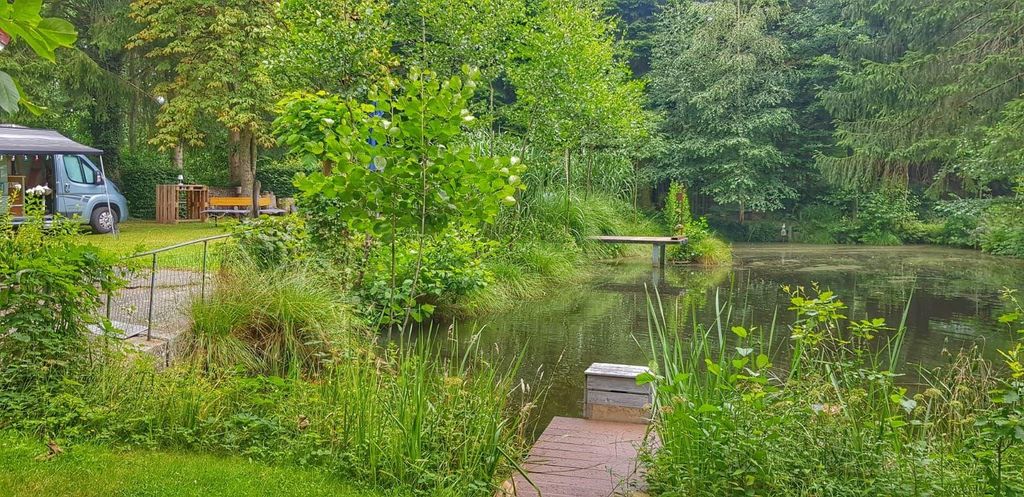 Emplacement individuel de rêve au bord d'un étang avec foyer