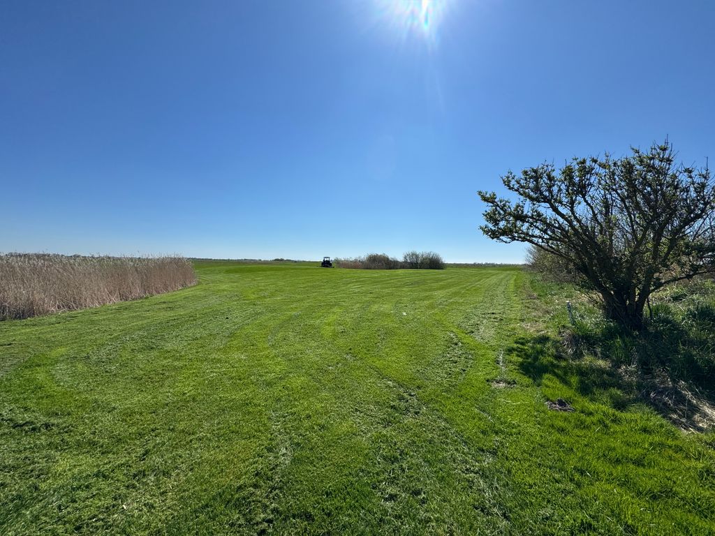 Marschland-Weitblick vor Sankt Peter-Ording
