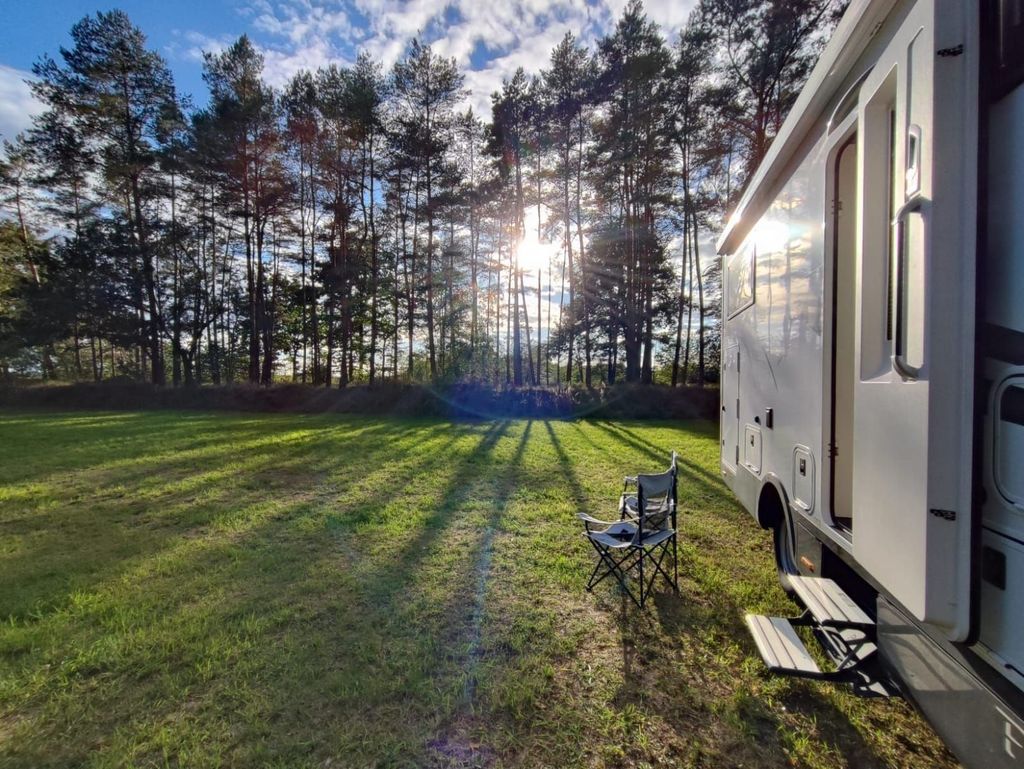 Green meadow in the forest or idyllic yard parking lot