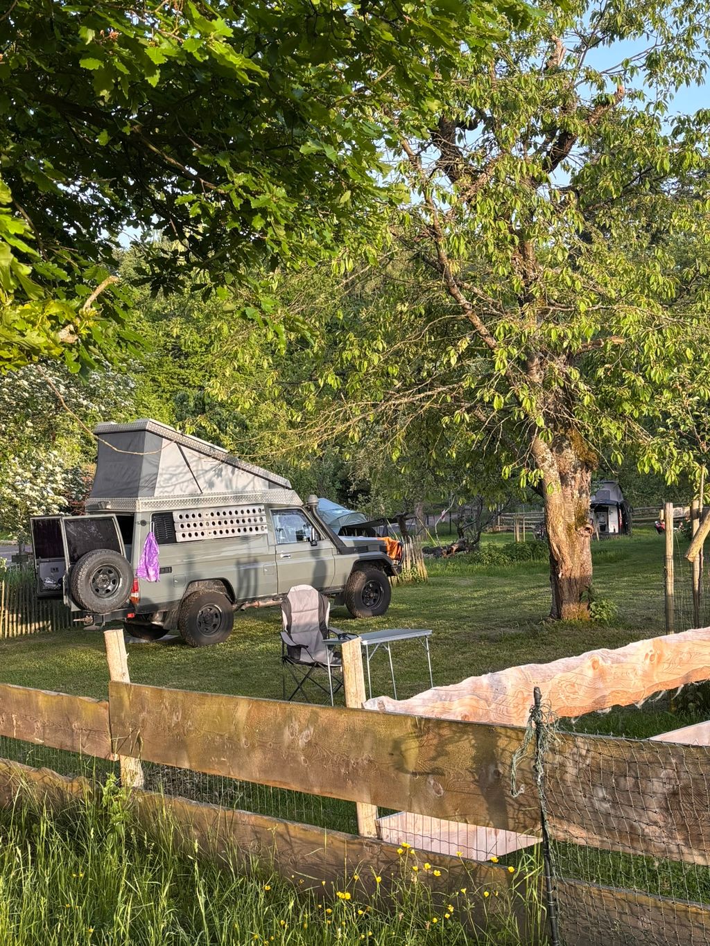 Acampar en el prado del huerto junto a las ovejas