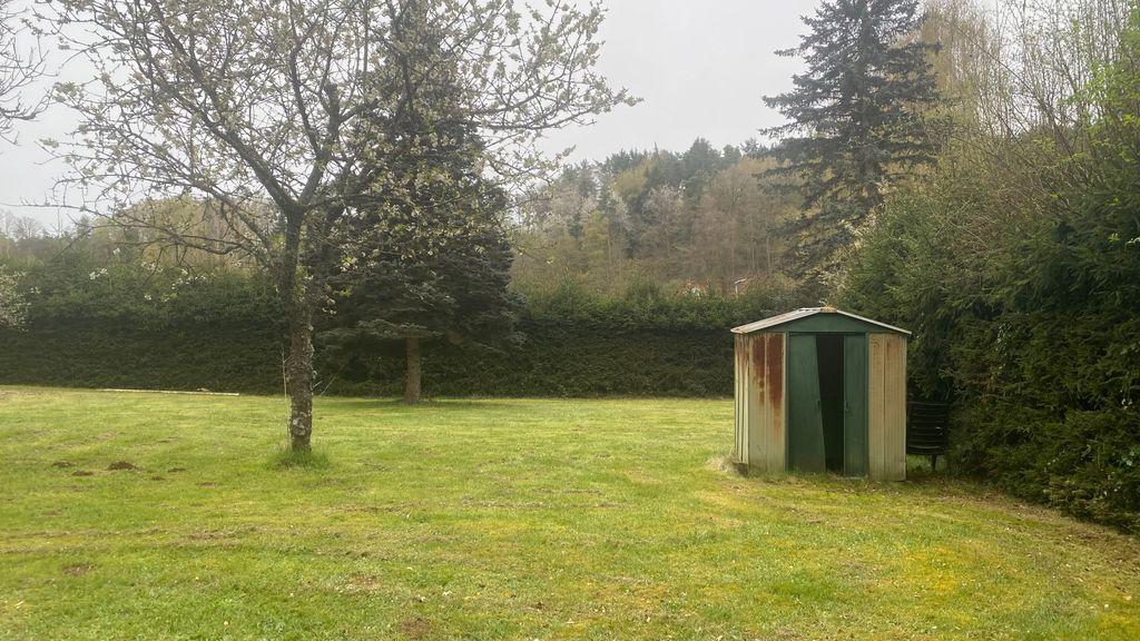 Terreno simile a un parco con sauna e vasca idromassaggio