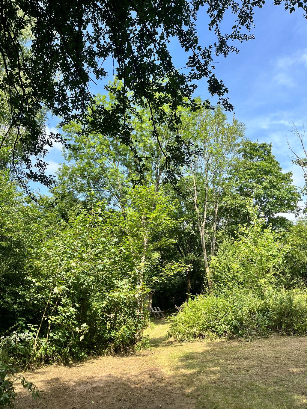 Small clearing - forest pitch on the edge of the Westerwald