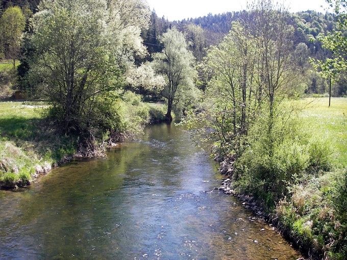 Idylle pur auf dem Hofgut - Wiesenstellplatz 