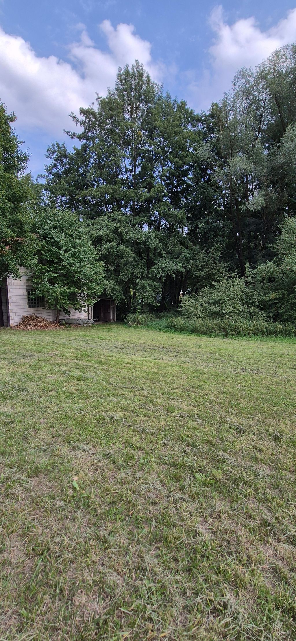 Prato idilliaco nell'Itzgrund in Alta Franconia