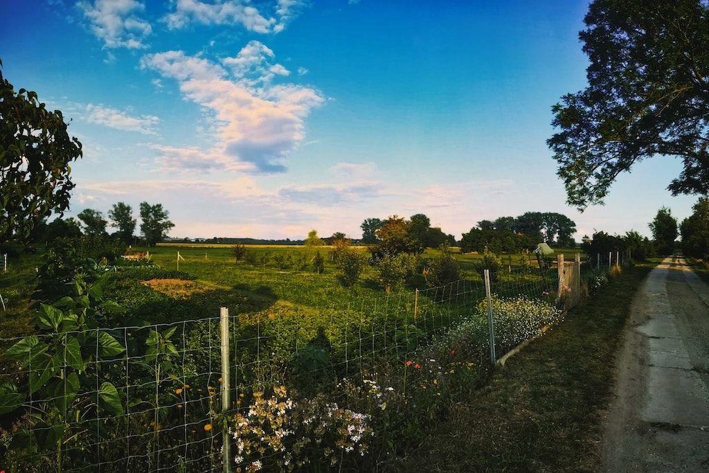 Obstgarten an der Pferdewiese 