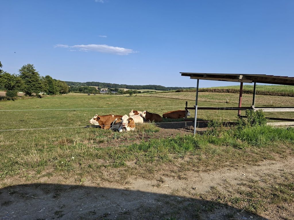 Natur pur an der Kammel