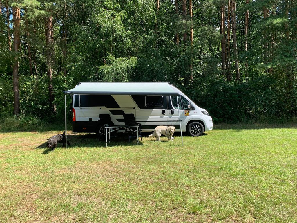 Green meadow in the forest or idyllic yard parking lot