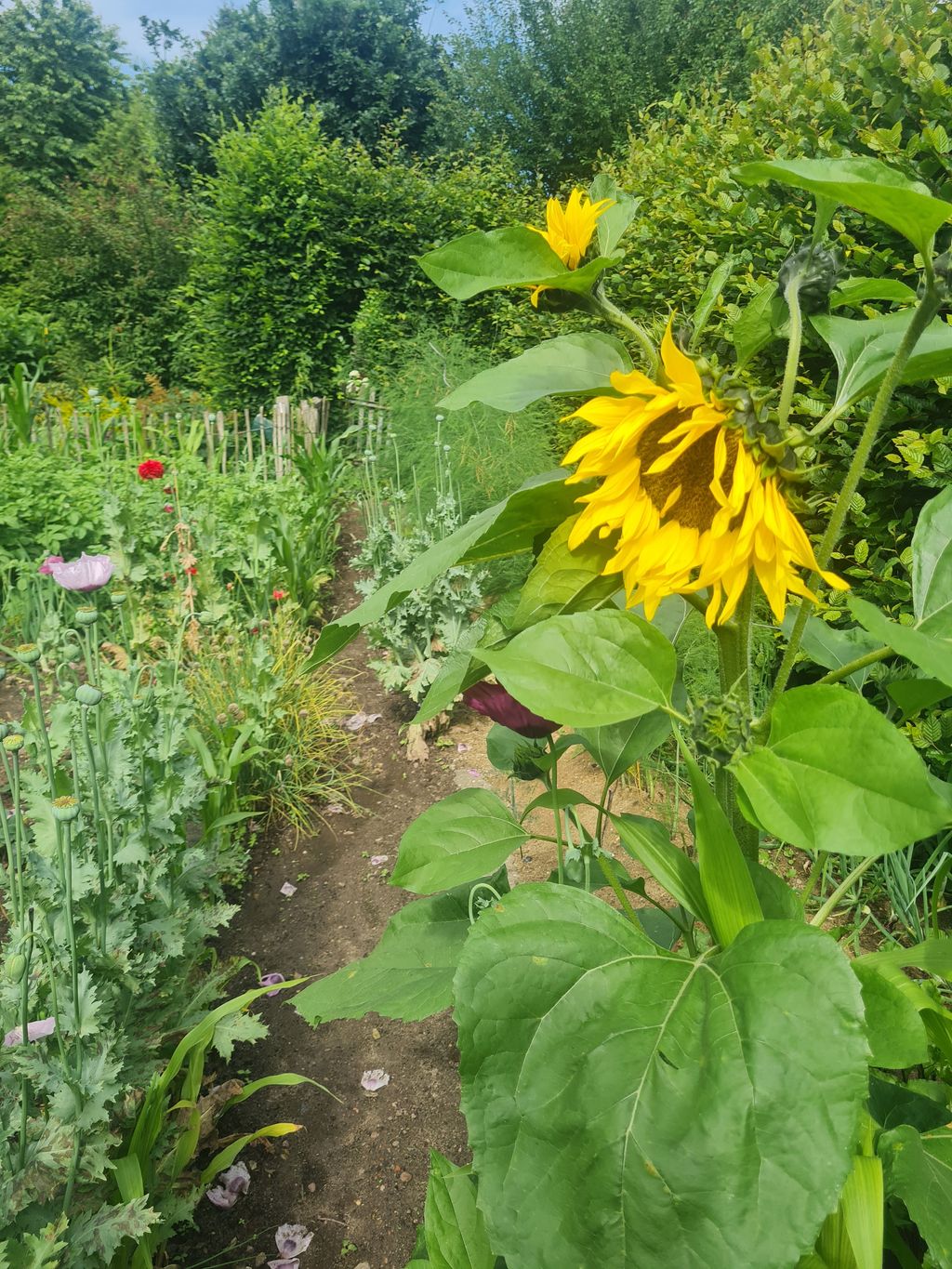 Suitable place for travelers or campers