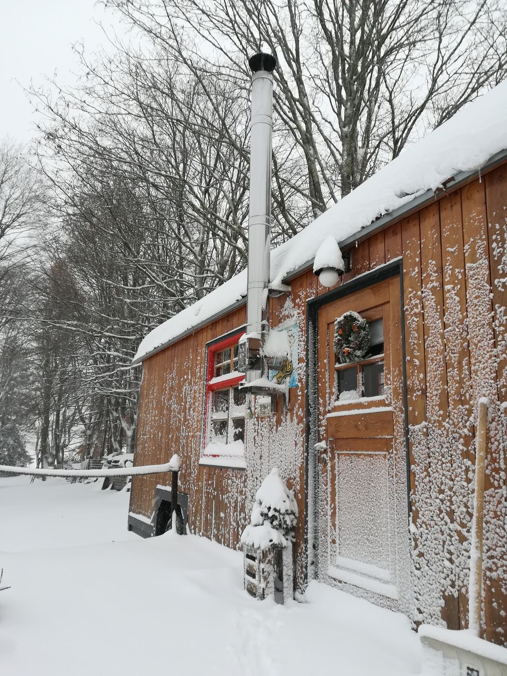 Casa minuscola nella Foresta della Franconia, proprio ai margini del bosco