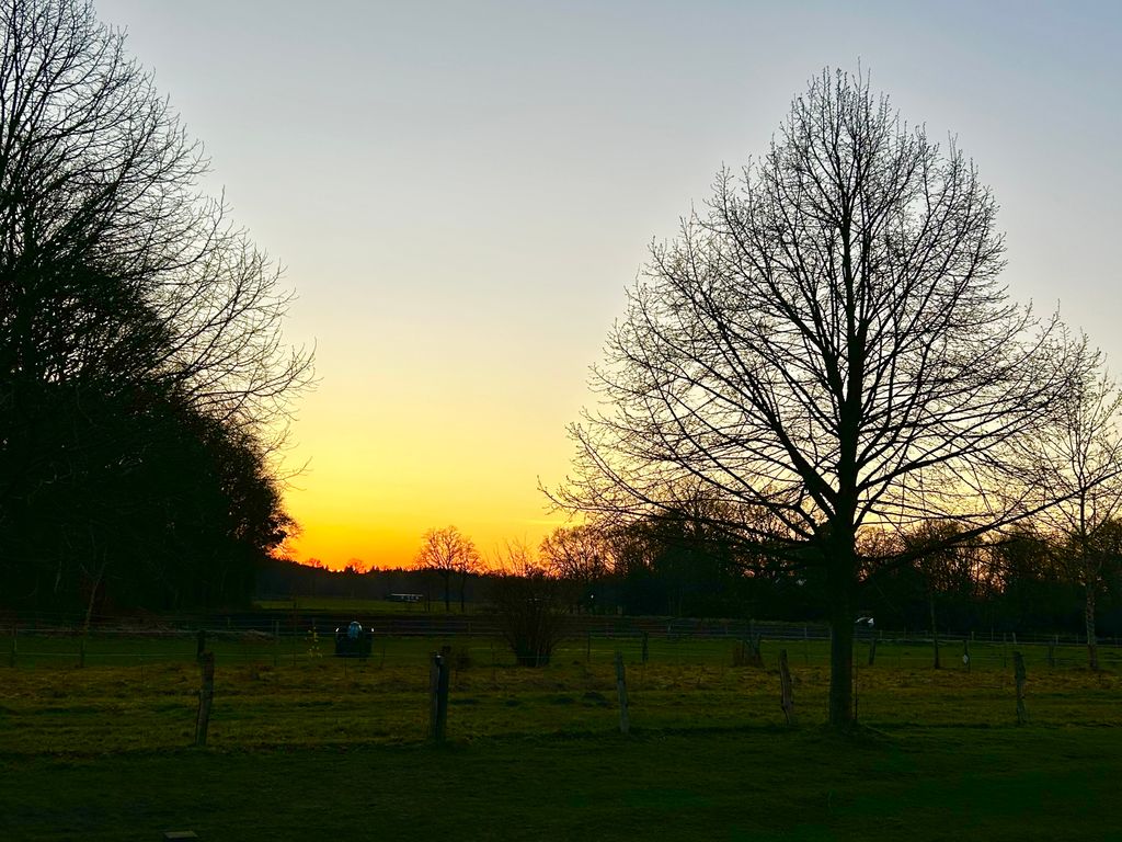 In the middle of the country under linden trees
