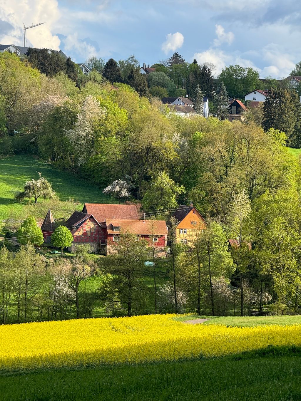 Idyllischer Wiesenstellplatz zwischen Apfelbäumen