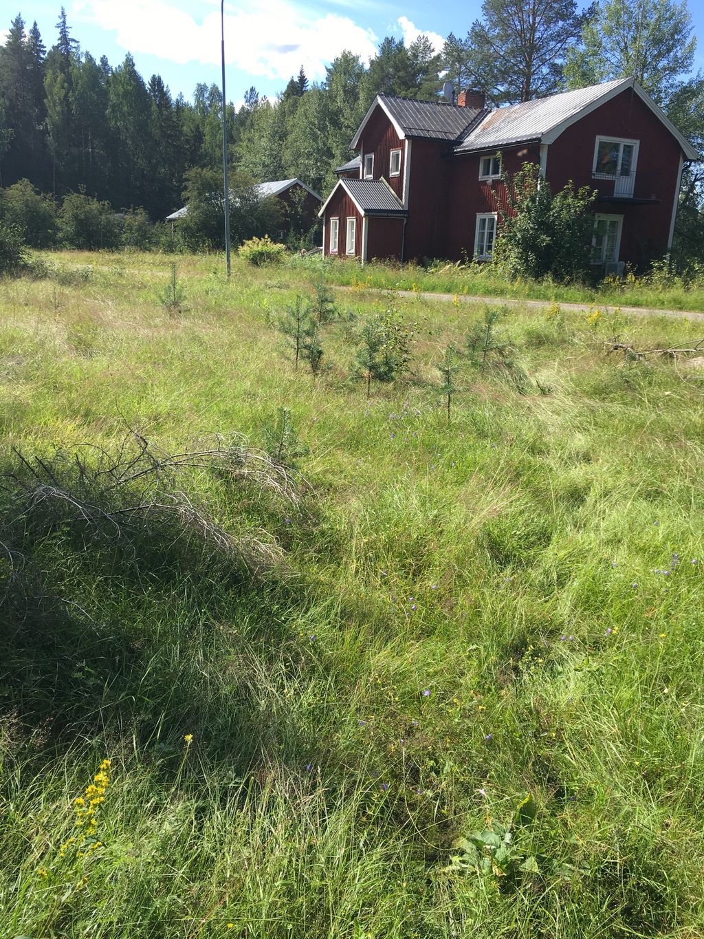 Lapland adventure