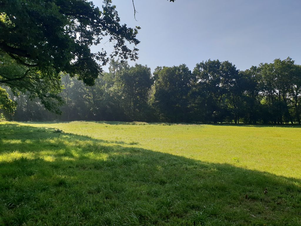 Idyllic meadow by the Tieberteich pond in a secluded location