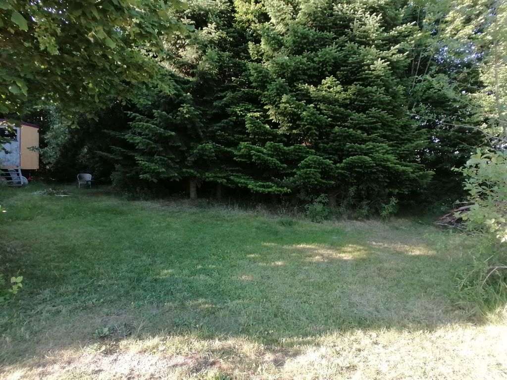 Un coin de nature calme dans la verdure près de Stralsund